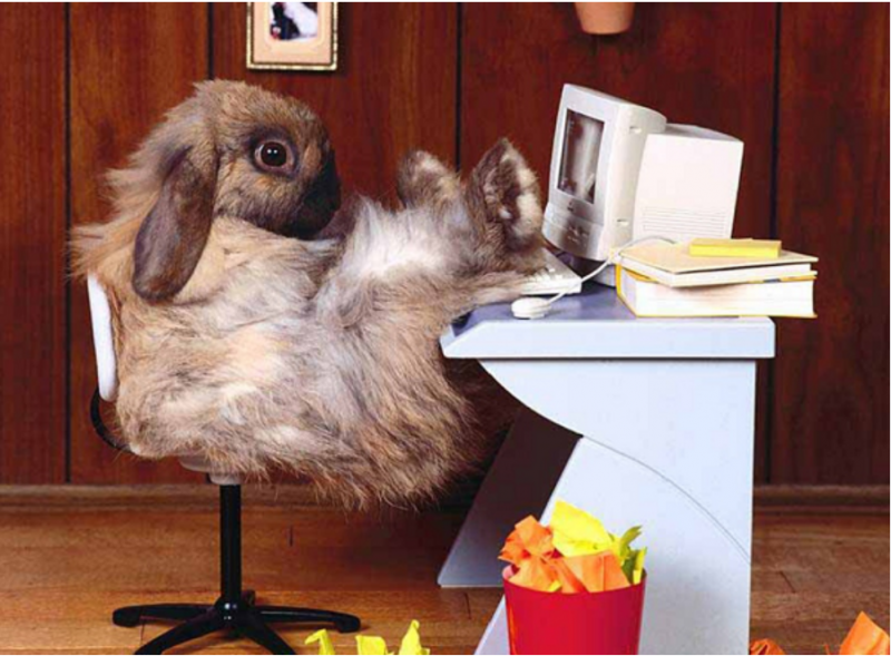 Wishing All Of My Google Ads Freelancer Clients A Very Happy Easter!